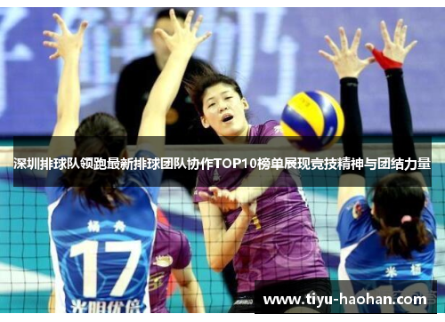 深圳排球队领跑最新排球团队协作TOP10榜单展现竞技精神与团结力量