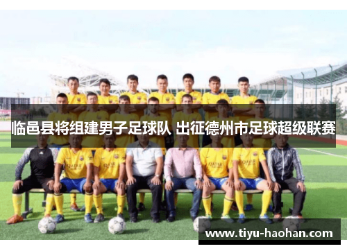 临邑县将组建男子足球队 出征德州市足球超级联赛
